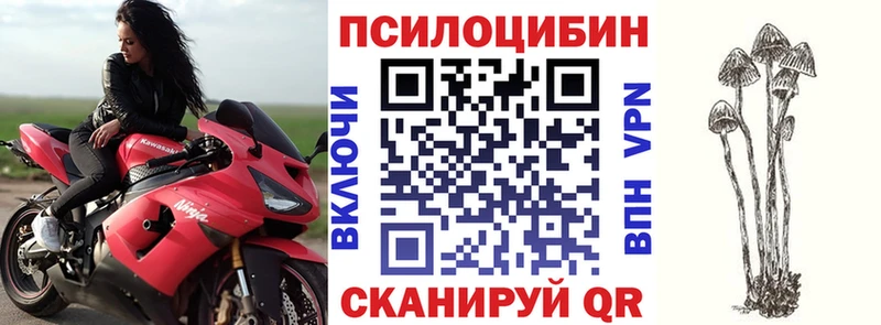 сколько стоит  Нытва  Псилоцибиновые грибы Psilocybine cubensis 